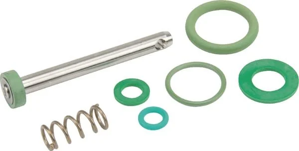 Birchmeier - 11664910 - Kit guarnizioni grilletto Viton (10B) REB