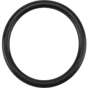 Birchmeier - 50117062 - Guarnizione 31.34x3.53