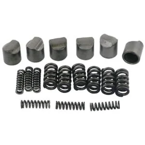 Bondioli Pavesi - 421340001R06 - Camma con molla F.SA1-4/LC1-4