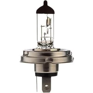 Bosma - 140612605545 - Lampadina alogena tubolare H4 55W P45t bianca