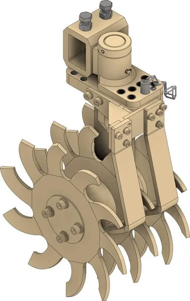 Braun