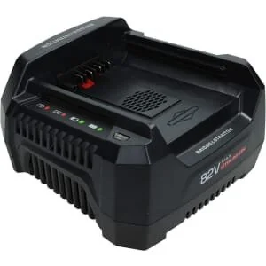 Briggs And Stratton - 1760264 - Caricabatterie 220v Briggs & Stratton