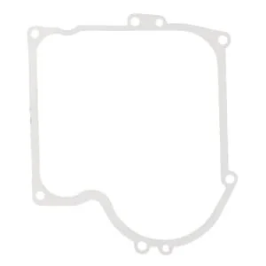 Briggs And Stratton - 270915 - Guarnizione carter
