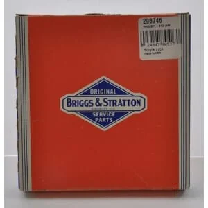 Briggs And Stratton - 298746 - Serie di fasce elastiche cromate