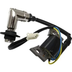 Briggs And Stratton