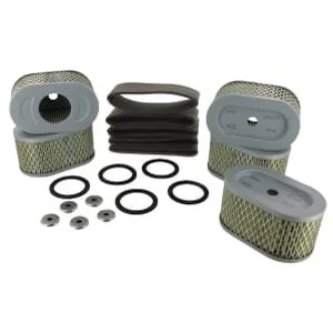 Briggs And Stratton - 4239 - Filtro dell'aria 5x797033