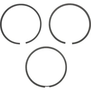 Briggs And Stratton - 495851 - Serie di fasce elastiche 020