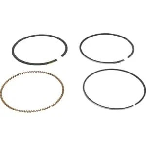 Briggs And Stratton - 591286 - Serie di fasce elastiche