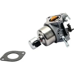 Briggs and Stratton