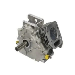 Briggs And Stratton - 699585 - Monoblocco