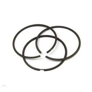 Briggs And Stratton - 699658 - Serie anelli-STD