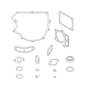Briggs And Stratton - 699823 - Serie di guarnizioni modello 40 En