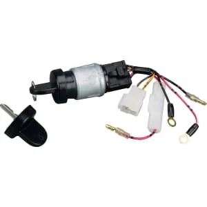 Briggs And Stratton - 712118 - Chiave di accensione