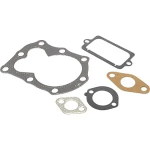 Briggs And Stratton - 795972 - Set guarnizioni valvola