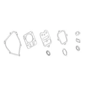 Briggs And Stratton - 798540 - Set guarnizioni