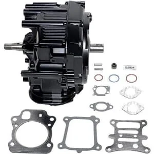 Briggs And Stratton - 799856 - Monoblocco