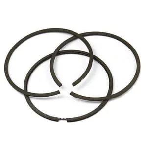 Briggs And Stratton - 802514 - Serie di fasce elastiche standard