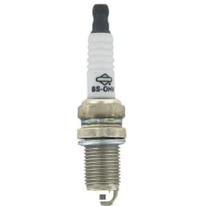 Briggs and Stratton - 992304 - Vite di accensione (rc12yc)