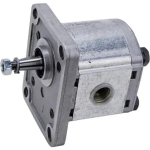 Casappa - PLP103D081E1G - Pompa PLP10.315 D0-81E1-LGC/GC