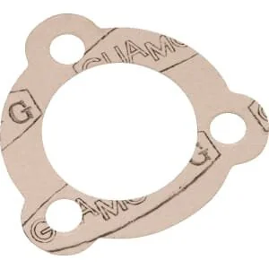 Casappa - SR99001 - Guarnizione per SR9