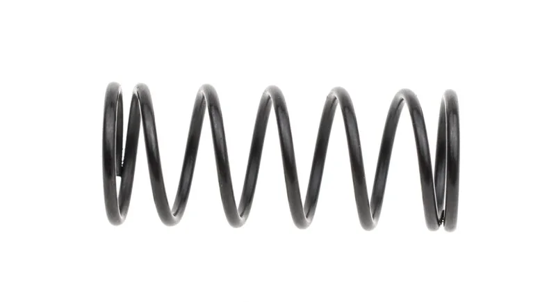 Cedrus - 20263 - Molla blocco acceleratore tagliasiepi NZ01