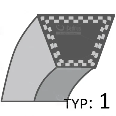 Cedrus