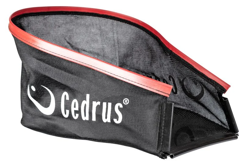 Cedrus
