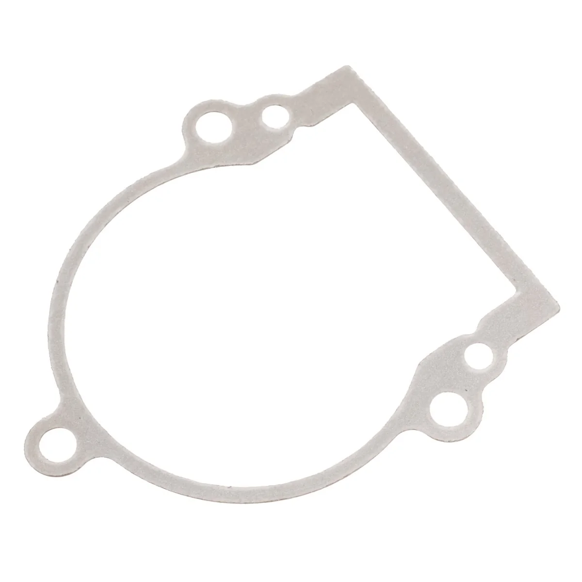 Cedrus - 70465 - Guarnizione carter motore soffiatore per foglie DM03
