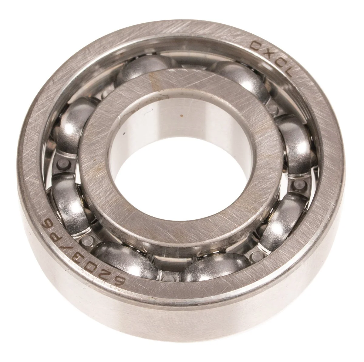 Cedrus - 90548-0203-CL - Timone GL05