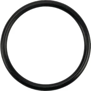 Comet - 1210044400 - O-ring 3.0x34