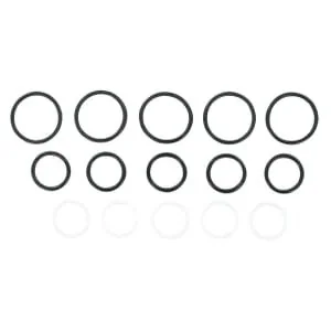 DNP - SKS9F12SEALP005N - Serie di guarnizioni per SKS-F-12 (5x)