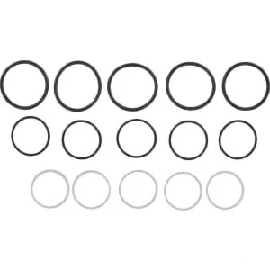 DNP - SKS9F25SEALP005N - Kit guarnizioni per SKS-F-25 (5x)
