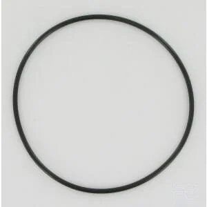 Eckart - 2000650019 - O-Ring 20.35x1.78mm 70 Shore Nero