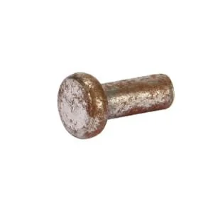 ESM - 3232020 - Rivetto speciale