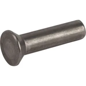 ESM - 5440171AD - Rivetto 5x20 0.5kg