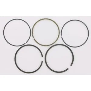 Etesia - 17743 - Set di fasce elastiche