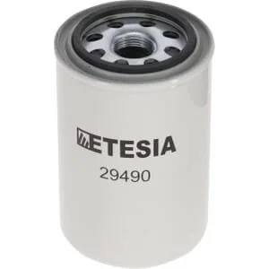 Etesia - 29490 - Filtro olio
