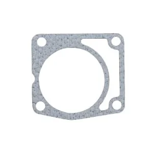 Etesia - 30647 - Guarnizione pompa acqua