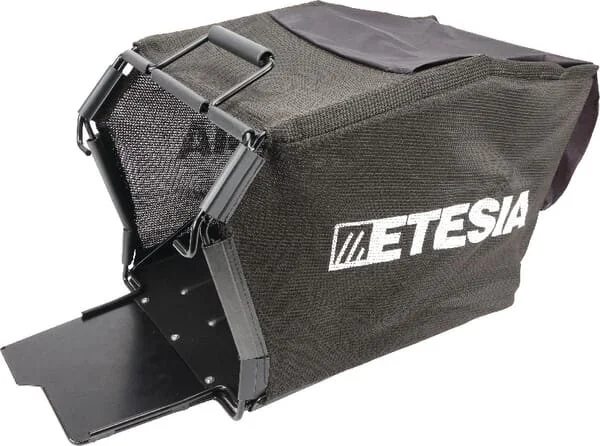 Etesia