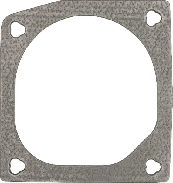 Fendt (AGCO) - F119200090230 - Guarnizione di ingresso