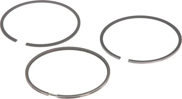 Fendt (AGCO) - F199204310030 - Serie di fasce elastiche