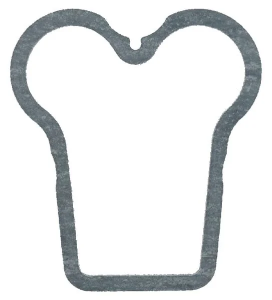 Fendt (AGCO) - F385200210171 - Guarnizione per copertura del coperchio