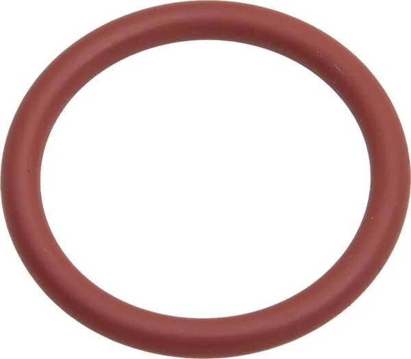 Fendt (AGCO) - F916961022100 - Anello O