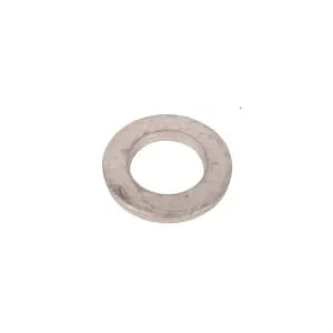 Fpt Industrial - 17091674FPT - Rondella elastica