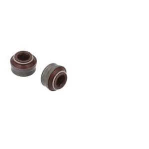 Fpt Industrial - 40101573FPT - Paraolio stelo valvola