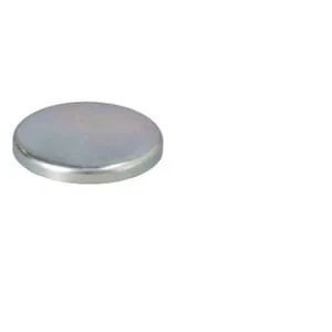Fpt Industrial - 4895038FPT - Spina