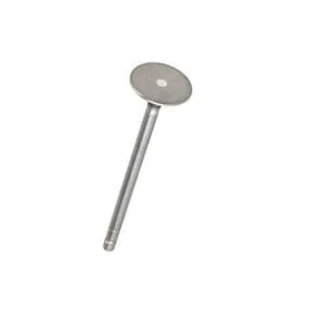 Fpt Industrial - 4895051FPT - Valvola di scarico