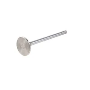 Fpt Industrial - 4895052FPT - Valvola di aspirazione