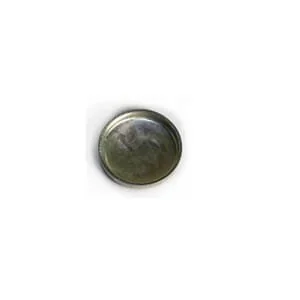 Fpt Industrial - 4895407FPT - Spina