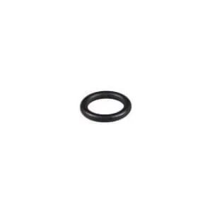 Fpt Industrial - 4895610FPT - O-ring